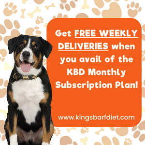 KBD Monthly Subscription Plan